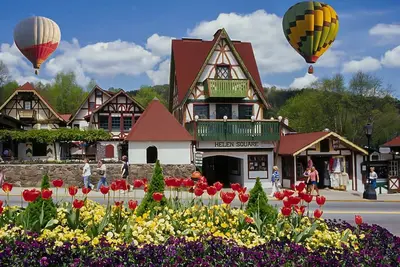 Image de 🌷 Das Tulip, l'endroit idéal pour séjourner à Helen. Centre ville, Rez-de-chaussée🏰