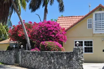 Image de Villa privée jeu derrière coralliens murales, vue sur l'océan