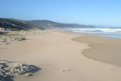 Image de Le paradis des amoureux de la nature! 100m de la plage! Piscine.