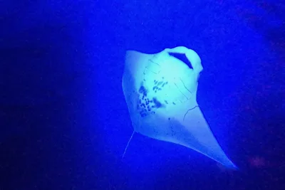 Image de Kick Back et Kick Your Shoes Off