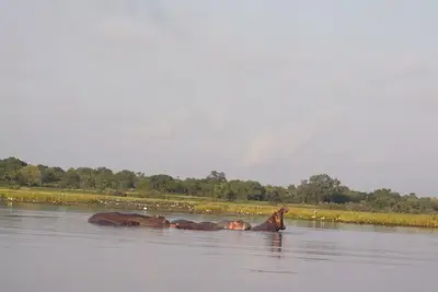 Image de Cases 1, 2, 3, 5, 7, 8, 9 et 10 pour un total de 19 personnes