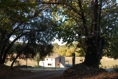 Image de Ferme \"El Zurrador\", ferme agricole, d'élevage et forestière avec hébergement rural.