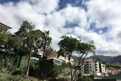 Image de Madeira 4 You, appartement, centre ville, Parking gratuit