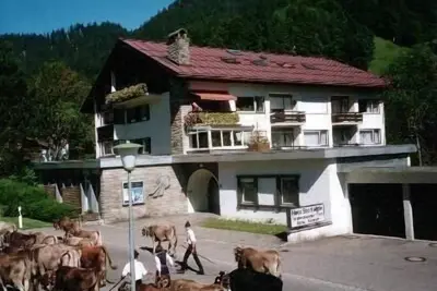 Image de Sport Alpin Appartement 10