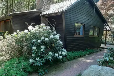 Image de Vacances nature sur un site naturel de 23000 m²