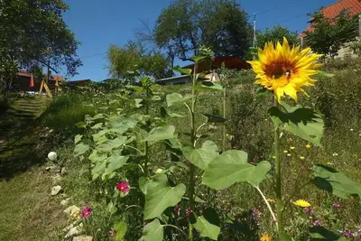 Image de Appartement à pont d'âne