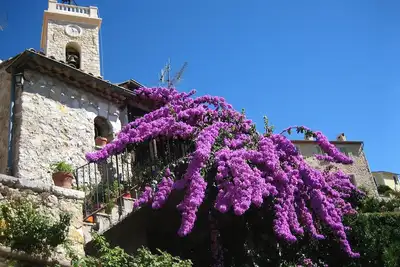 Image de Charmante maison de caractère, un havre de paix parmi les orangers du jardin