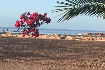 Image de Joli Duplex 110\nm2-Piscine- résidence Calme, Vue OCÉAN 800m--2 terrasses-Bbq