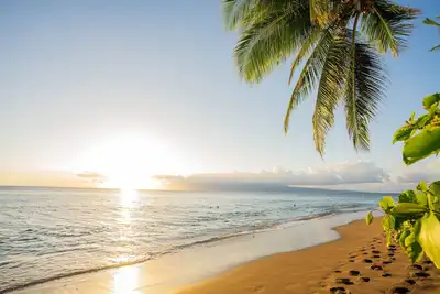 Image de 60 pieds de l'océan, immense condo avec Ac, nouvelle rénovation, vue imprenable,