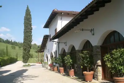 Image de magnifique région au milieu des vignes où vous pourrez vous détendre et déguster du vin