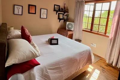 Image de Luxury Treetop Lodge