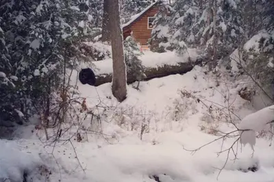 Image de Swan Cottage, Charmante cabane privée