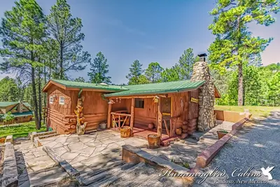 Image de Happy Bears Cabin: Soyez aussi heureux que les ours à Happy Bears Cabin! Animaux acceptés