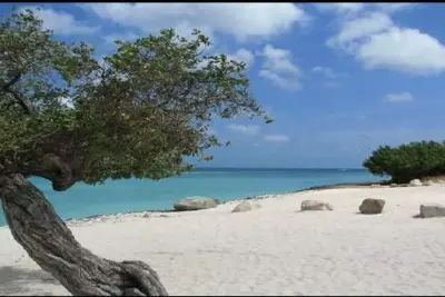 Image de Belle station balnéaire sur la belle et sympathique île d'Aruba!