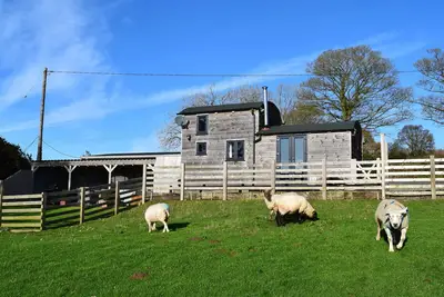 Image de Shepherds Cabin At Titterstone, animaux de compagnie à Clee Hill, Réf 981606