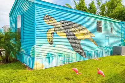 Image de Tortue de mer - Grand format vivant dans notre parc Tiny House - WiFi gratuit