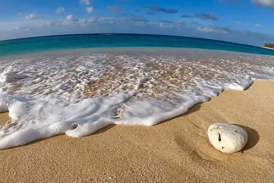 Image de Ice Optional In Paradise. . Surf Is Up. . . Walk to Pipe where the Big Wave Action Is