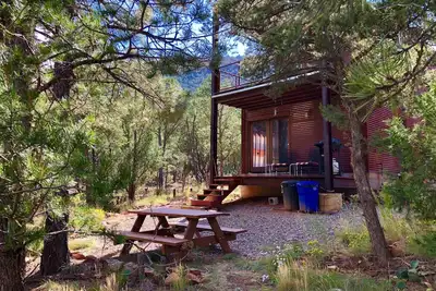 Image de Cabine moderne dans les bois - Famille et animaux acceptés