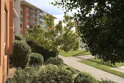 Image de Propriétés du flacon Henríquez dans le Barrio Puerta del Mar