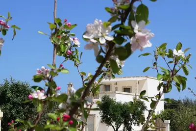 Image de « Le Fogge » un lieu en contact avec la nature et les parfums di Puglia