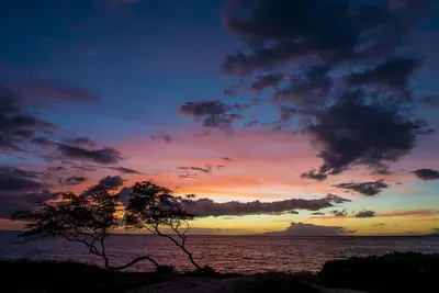 Image de Condo # 239 juste à la plage, Maui 'Solid Gold Value' joliment mis à jour révélé