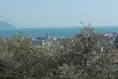 Image de Appartement entre citronniers et oliviers avec vue mer Code Citra 011015-Lt-0925