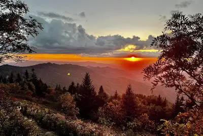 Image de Cabine dans les baumes