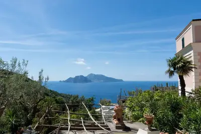 Image de Péninsule de Sorrente-Le papillon blanc