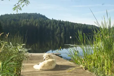 Image de Lake House Saltspring Island