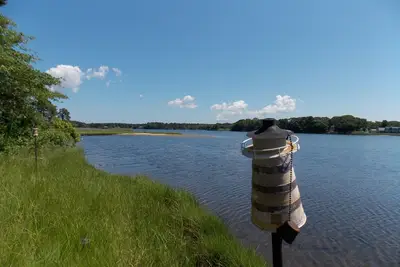 Image de Best of Both Worlds sur Swan Pond