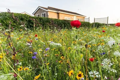 Image de Bungalow à la campagne, à seulement 10 minutes en voiture de la plage. Wifi gratuit