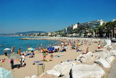 Image de T2 A 50 M Plage Du Midi, 2 Pas Centre Ville & Croisette Garage Ferme