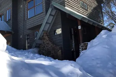 Image de Convient aux chiens Snow Brainer