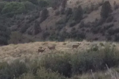 Image de Prescott paisible vivant avec des vues à 360 degrés, à proximité des commerces et du centre-ville