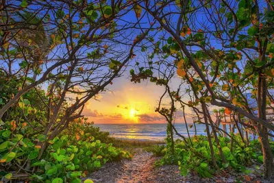 Image de Pratiquement sur la plage, il suffit de traverser Carlin Park jusqu'au sable! ! ❤️💛💚