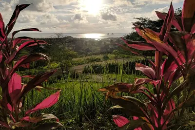 Image de Une oasis de jungle à flanc de colline avec une vue panoramique imprenable sur l'océan Pacifique!