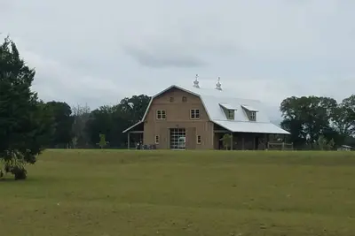 Image de Expérience dans une ferme d'élevage de bovins - vin et bovins