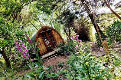 Image de «Wollemia» The Peaceful Pod à The Greenhouse Spa Retreat