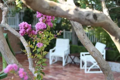 Image de Jardin de grand-mère
