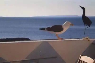 Image de Appartement Le Goeland  sur la plage air conditionné+ internet+ parking sécurisé