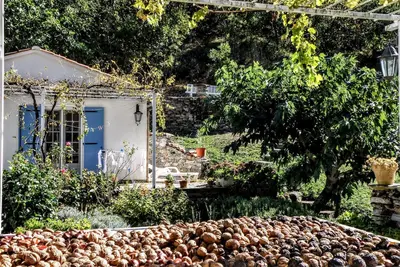 Image de Maison confortable avec piscine entourée par la beauté de la nature