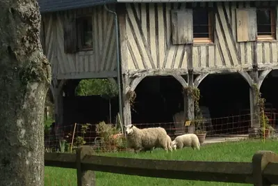 Image de Charming gîte near Honfleur/Deauville with tennis court. 4 ha. Pets welcome!