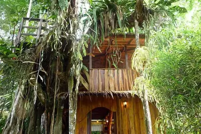 Image de Expérience Enchanted Tree House avec tout le confort!