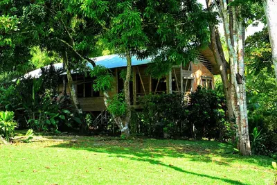 Image de Casa Linda, Bamboo Beach House. Choice Awards 8 de voyageurs (Voir aussi Casa Bambu)