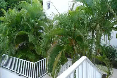 Image de Studio Anse Mitan Trois Ilets Martinique