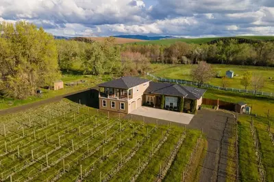 Image de Vineyard View Estate - Maison de luxe dans un vignoble privé sur Mill Creek