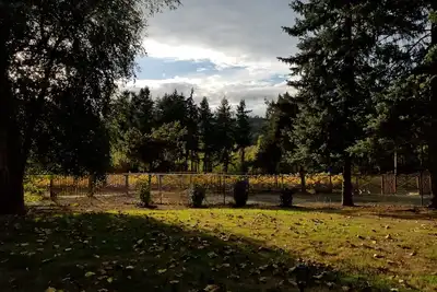 Image de Pays sensation, w / toutes les commodités, à proximité de vignoble, restaurants, magasins et autoroute!