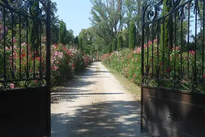 Image de En Terre de Provence, le Mas Valérian