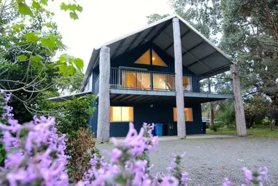 Image de Blue Poles Petit Grove Albany