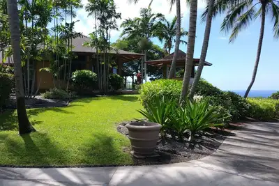 Image de Beauté rare et luxe dans la baie de Kealakekua